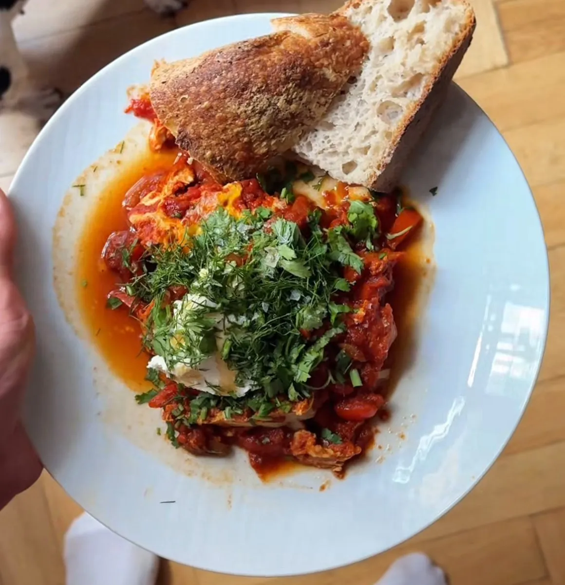 Shakshuka mit Sauerteigbrot